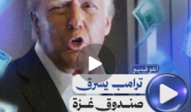 انفو فيديو | ترامب يسرق صندوق غزة