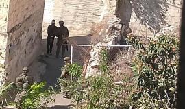 جيش الاحتلال يعتقل مواطنًا ويهاجم رعاة الأغنام في مسافر يطا