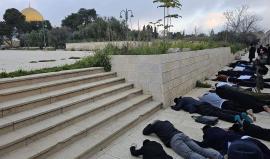 مستوطنون يدنسون باحات المسجد الأقصى المبارك