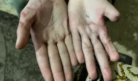 شهادات أطفال تعرضوا للاغتصاب والتعذيب على أيدي مجندات إسرائيليات برفح