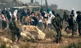 الاحتلال ومستوطنوه يحرفون أراضٍ ويقتلعون أشجار زيتون في جنين ونابلس