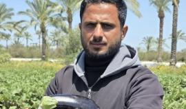 المهندس إبراهيم أبو عريبان