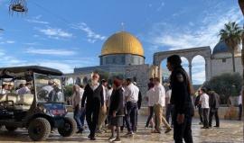 147 مستوطناً يقتحمون الأقصى وسط دعوات فلسطينية للحشد والرباط في المسجد