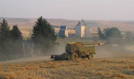 صدمة الأسمدة تهدد الأمن الغذائي العالمي