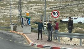 تقوع جنوب بيت لحم