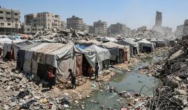 القوارض تنهش أجساد النازحين بغزة وصرخات توفير المبيدات بلا استجابة حقيقية