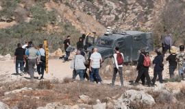 أهالي بلدة الشيوخ بالخليل يطردون مليشيات المستوطنين من أراضيهم