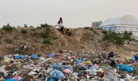 كيف يوظّف الاحتلال القوارض والأوبئة سلاحًا ممنهجًا ضد المدنيين في قطاع غزة؟