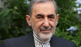 مستشار قائد الثورة الإسلامية للشؤون الدولية علي أكبر ولايتي