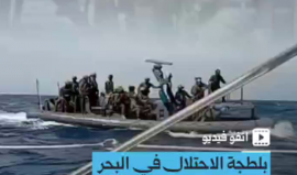 انفو فيديو | أسطول الصمود وقراصنة البحار.. رسالة كسر الحصار وصلت!