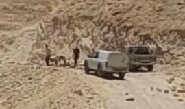 مستوطنون يُنفذون أعمال عربدة واستفزاز في بيت لحم