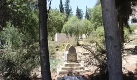 الاحتلال يجبر عائلة فلسطينية على نبش قبر نجلها ونقل جثمانه