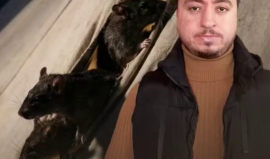 الحلقة الثانية من برنامج #سين_صريح.. أتعرف لماذا ينام الغزِّي بنصف عين؟!