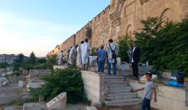 مستوطنون يدنسون مقبرة باب الرحمة المحاذية للمسجد الأقصى