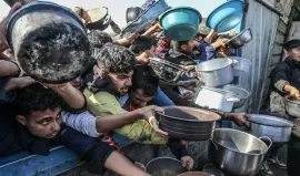 1.4 مليون فلسطيني مهددون بانعدام الأمن الغذائي في غزة