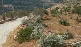 صورة تعبيرية