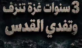 فيديو شهاب| 3 سنوات غزة تنزف وتفدي القدس