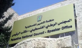 456فب-1755754692.webp