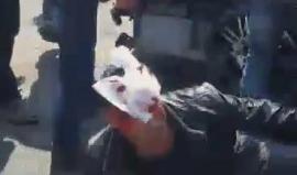 مقطع آخر للحادث المروع .. 
#شاهد | إصابة 8 مواطنين حالة أحدهم خطيرة بحادث سير بين سيارة مدنية وسيارة إسعاف قرب محطة الطاقة بالنصيرات وسط قطاع غزة . 
تصوير معتصم ابوهربيد