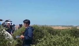 #شاهد جموع الفلسطينيين يتوافدون نحو الأراضي المحتلة.. هكذا يرى جنود الاحتلال المشهد