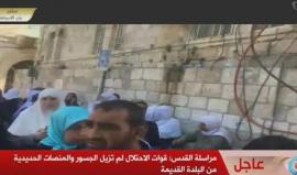 #مباشر حفريات الاحتلال في باب الأسباط بالمسجد الاقصى المبارك