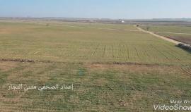 طائرات الاحتلال ترش مبيدات سامة قرب الحدود شرق خانيونس وتصل لاراضي المواطنين