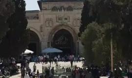 #بث_مباشر | خطبة الجمعة بالمسجد الأقصى المبارك

تصوير : محمد دويك