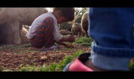 From 05:30 AM - 08:00 PM | فِلم وثائقي
قصة راعي أغنام يدعي بأبي راشد. ويقطن أبو راشد في مدينة إربد

إخراج Jaafar Atwa