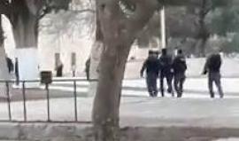 #فيديو الاحتلال يعتقل شاب مقدسي من ساحات المسجد الأقصى المبارك قبل قليل

تصوير: محمد قاروط ادكيدك