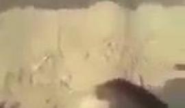 ننصح عدم متابعة الأطفال مشهد مروع " 18+" 
عناصر من مليشيا الحشد الشعبي يسحقون طفل عراقي وهو حي بواسطة دبابة بالقرب من الموصل .