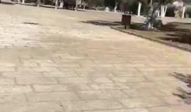 #مباشر: الاجواء في رحاب المسجد الاقصى الان
تصوير:محمد قاروط ادكيدك