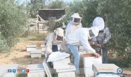 مبيدات الاحتلال السامة تهدد موسم العسل في #غزة
تقرير: خالد أبو الروس