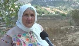 الالاف العائلات تحرم من قطف الزيتون في موعده بسبب اجراءات الاحتلال - رغدة عتمة