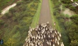 السودان كما لم تره من قبل - سلسلة أرض السمر

(تتابعون حلقات سلسلة أرض السمر يومياً عبر صفحتنا) 
إنتاج :نبتة الانتاج الفني والإعلامي