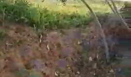 #مباشر مواجهات جمعة الغضب من شرق مخيم البريج وسط قطاع #غزة .

تصوير | أحمد المقادمة