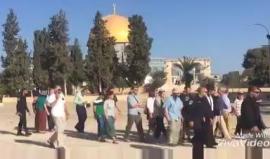 #فيديو من اقتحام المستوطنين لساحات المسجد الأقصى صباح اليوم

تصوير: رامي الخطيب