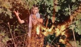 #شاهد

ثارت الضفة - فرقة الإباء الفنية