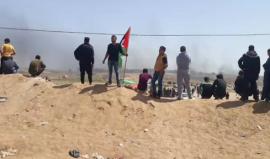 #مباشر : 

جولة ميدانية من مخيم العودة شرق البريج بالمحافظة الوسطى .

مراسلنا : احمد المقادمة