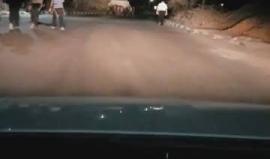 #فيديو مستوطنون يجتاحون وسط قرية "كفل حارس" جنوب مدينة نابلس فجر اليوم