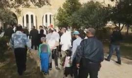 جانب من اقتحام المستوطنين باحات المسجد الأقصى