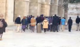 #شاهد مستوطنون يقتحمون باحات المسجد الأقصى بحماية شرطة الاحتلال صباح اليوم.
