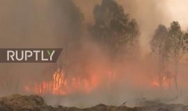 #شاهد حريق كبير تسبب به انفجار قنبلة فسفورية أثناء تدريبات عسكرية بألمانيا