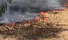 #شاهد اندلاع النيران في كيبوتس "نير عام" بفعل طائرة ورقية حارقة أطلقت من غزة