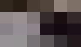 #فيديو الاحتلال يعتقل شاب بعد اطلاق النار عليه على حاجز "الكونتينر" شمال بيت لحم صباح اليوم