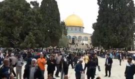 #مباشر خطبة وصلاة الجمعة من المسجد الأقصى المبارك - العاصمة الفلسطينية القدس