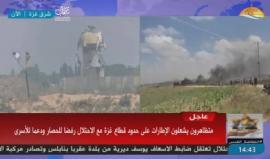 #شاهد #مباشر | مسيرات قرب السياج الفاصل في عدة مناطق من شرق قطاع غزة رفضا للحصار وتضامنا مع الاسرى