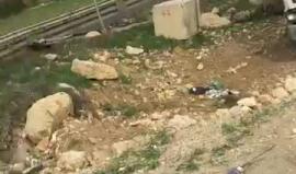 #مباشر مواجهات في مخيم العروب شمالي الخليل 
تصوير عامر أبو عرفة