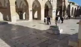 طرد مستوطن حاول أداء صلاة تلمودية أثناء اقتحامه للمسجد الأقصى صباح اليوم