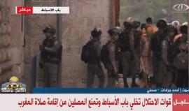 #بث_مباشر من باب الأسباط أحد أبواب #المسجد_الأقصى