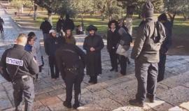 عشرات المستوطنون يؤدون طقوسا تلمودية في رحاب المسجد الأقصى .